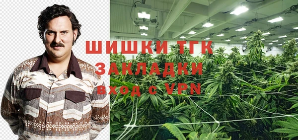 винт Алексин